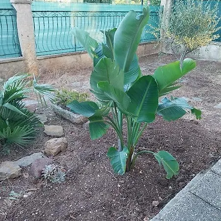 Avec Terrasse Indépendant En La Garde (Var)