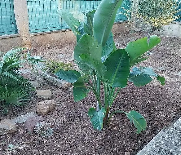 Avec Terrasse Independant En לה גארד